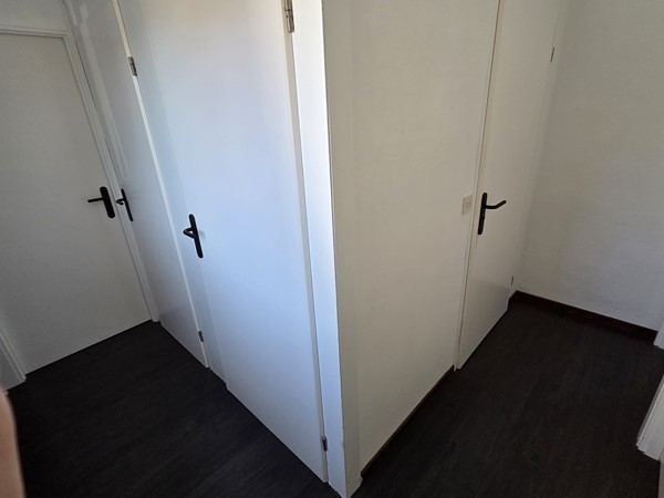 Koelmoer 51016.JPG